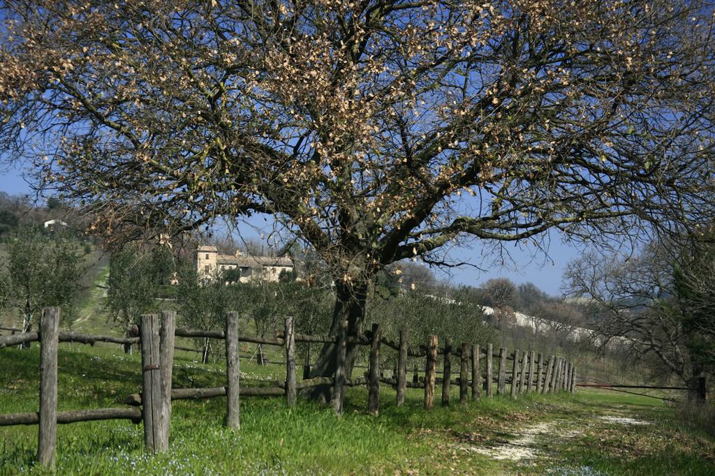 Rustico Del Conero Vila Camerano Exterior foto